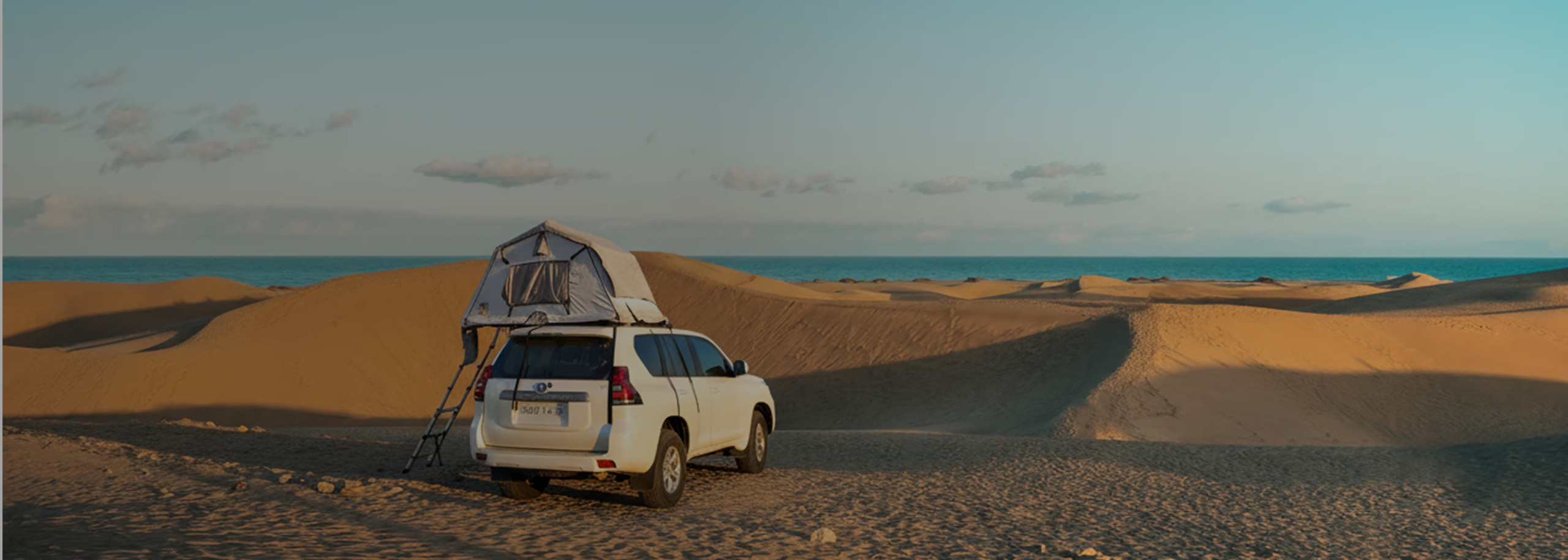 Land Cruiser Prado Salah